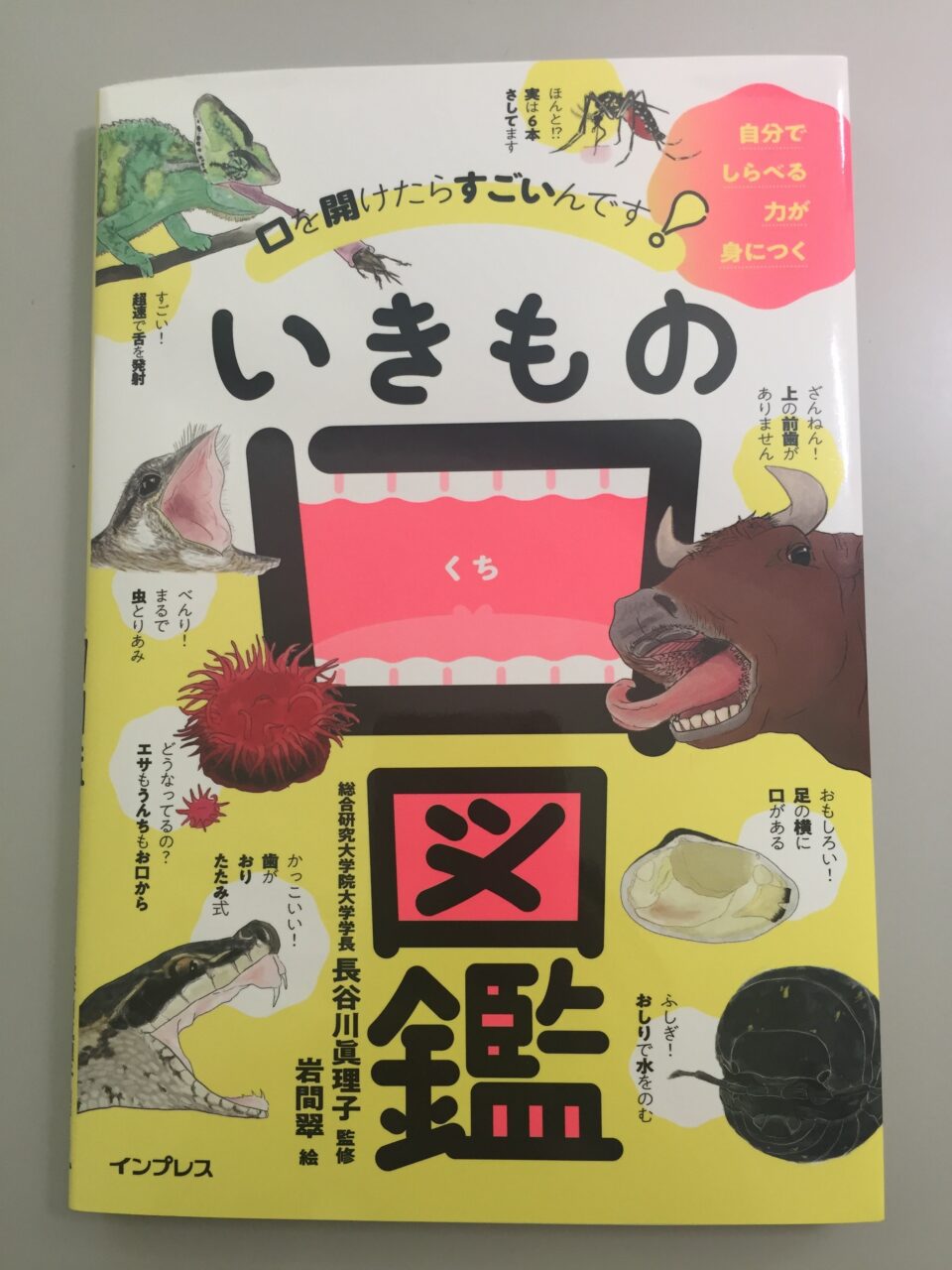 当学科出身のイラストレーターによる図鑑が出版されました 北海道大学 理学部 生物科学科 生物学