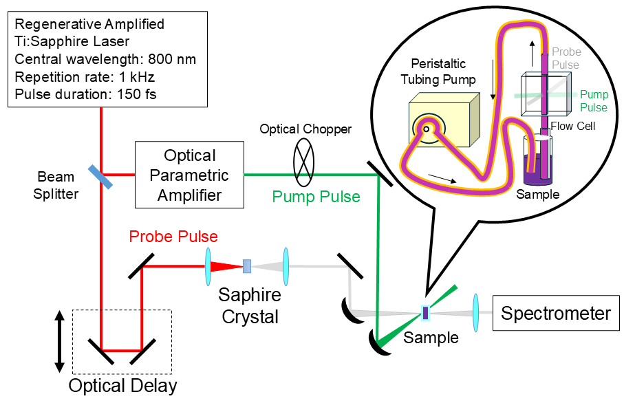 study-image-2