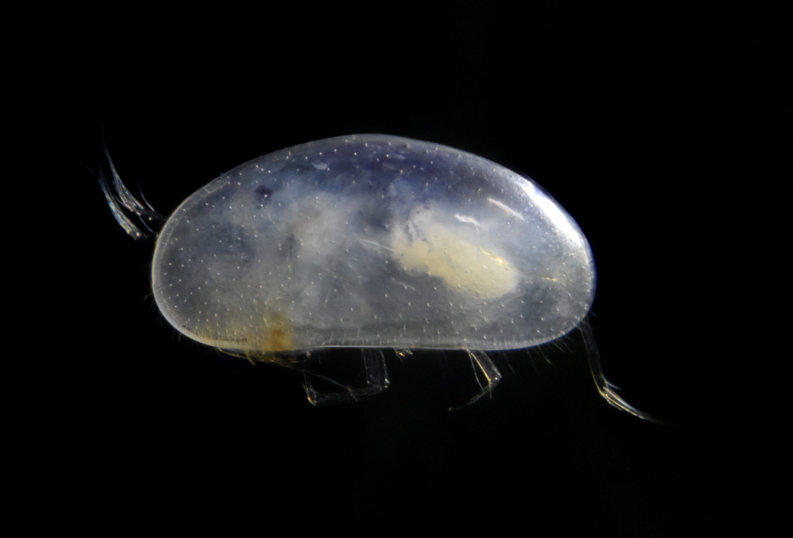 study-image-1