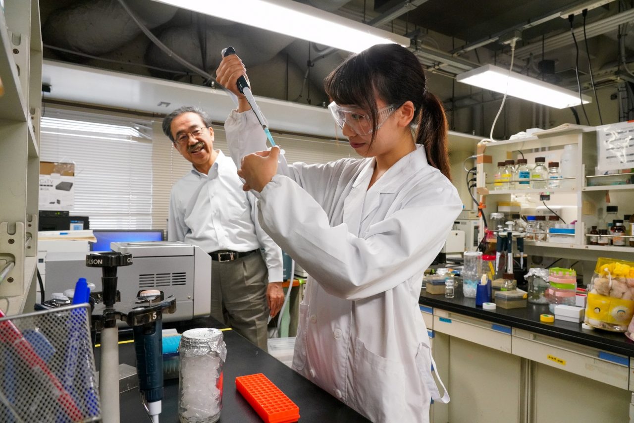 化学科 北海道大学 理学部 化学科 北海道大学 理学部